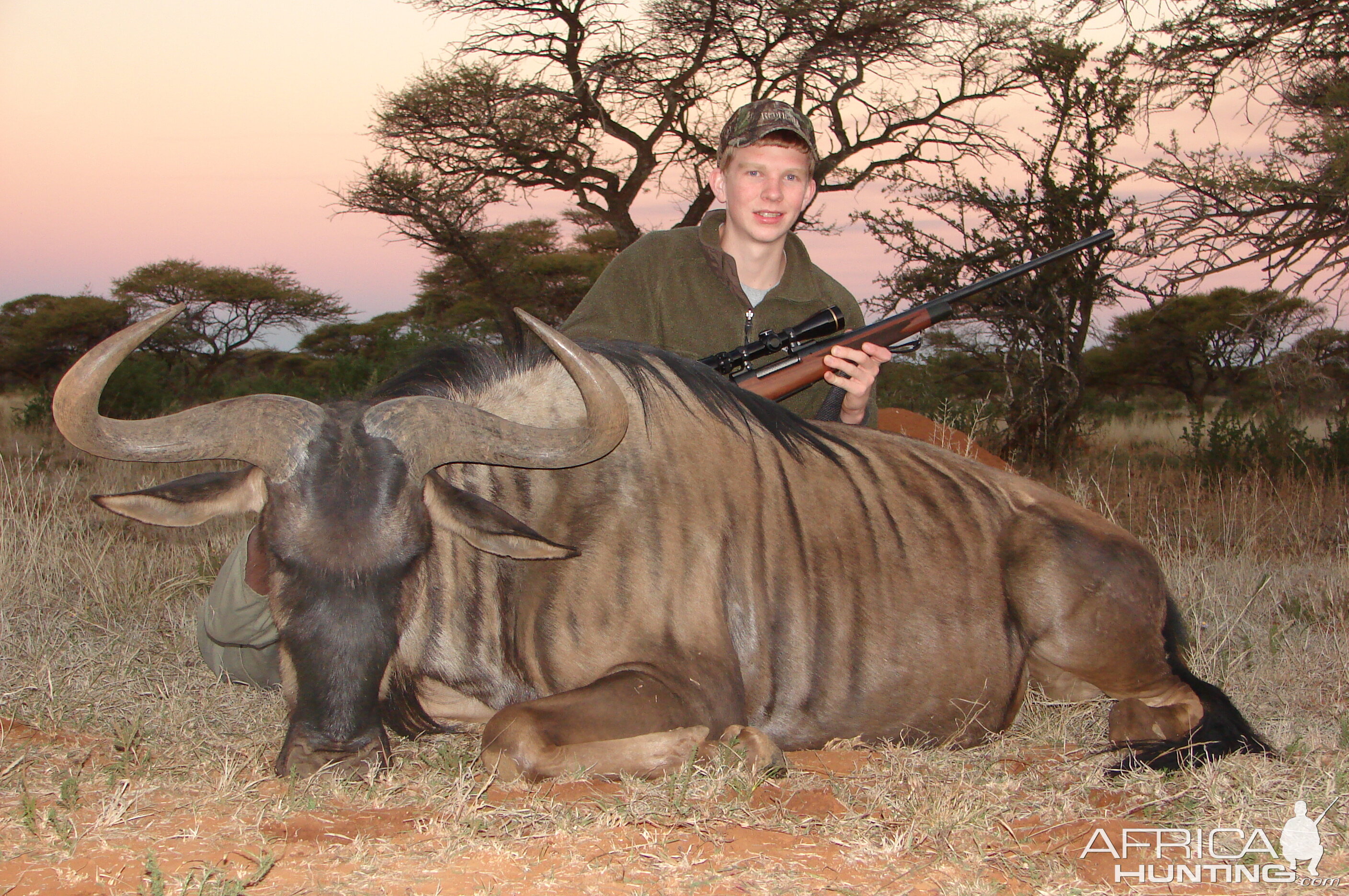 Hunting Blue Wildebeest with Wintershoek Johnny Vivier Safaris in SA