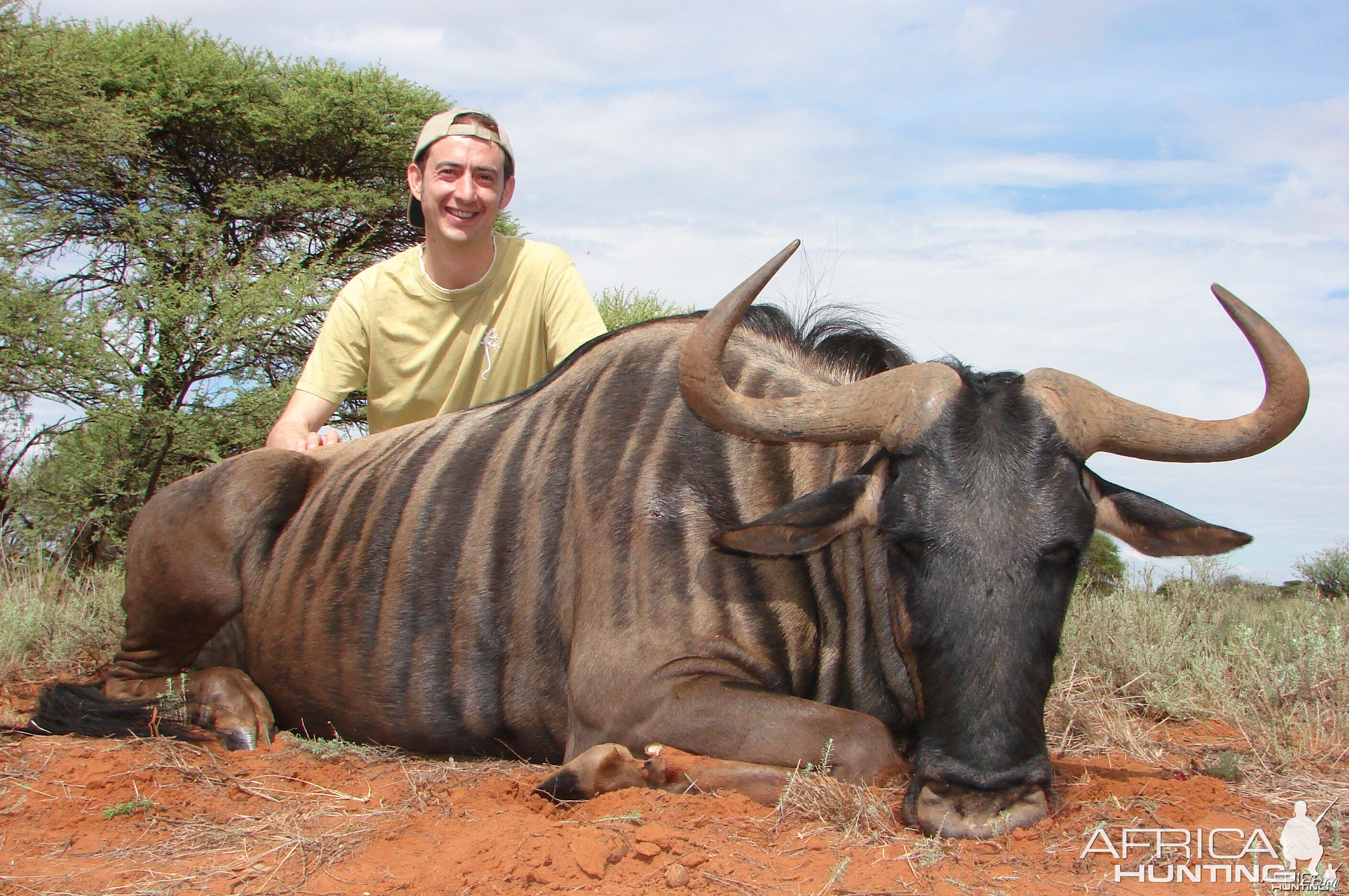 Hunting Blue Wildebeest with Wintershoek Johnny Vivier Safaris in SA