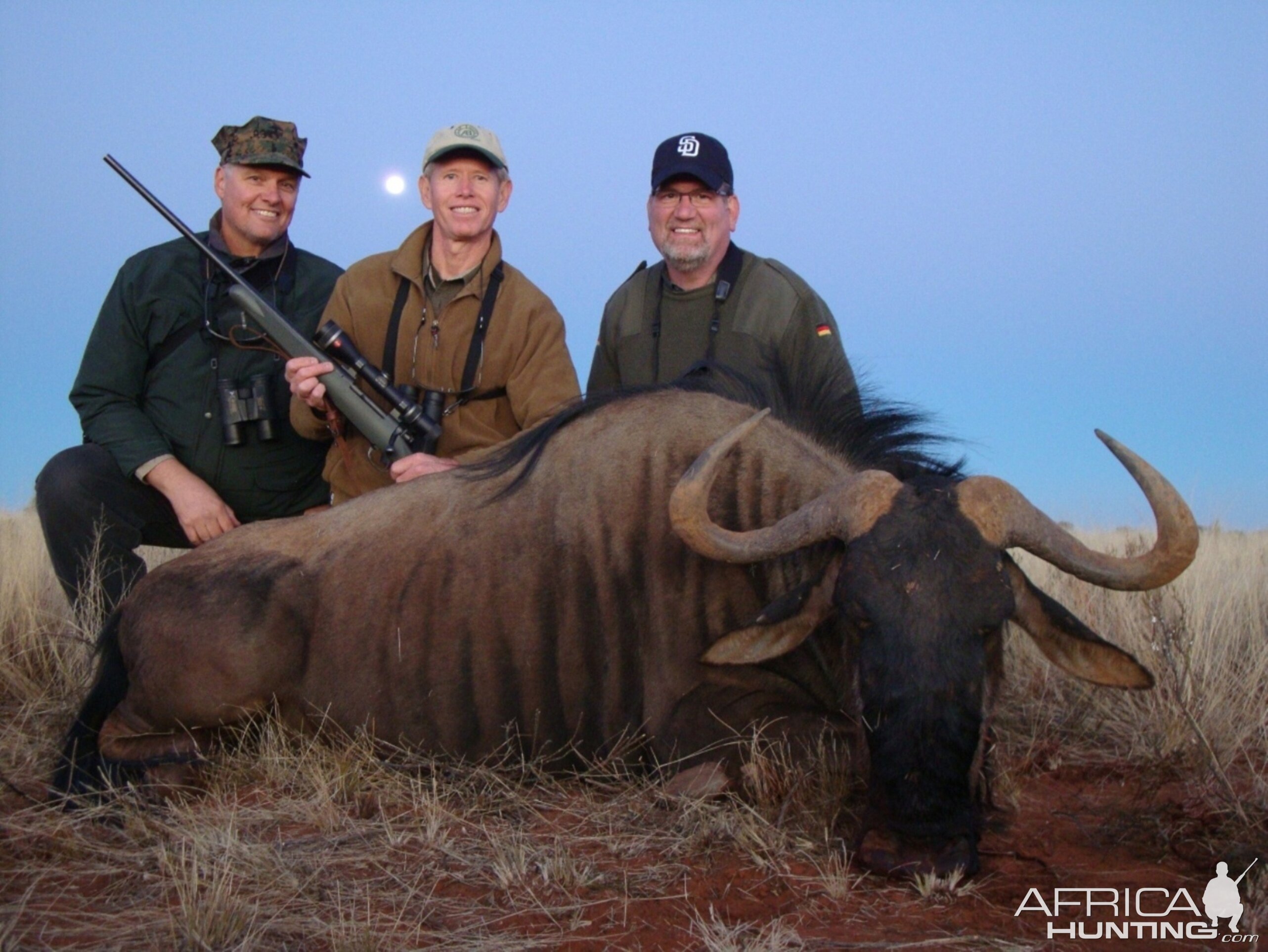 Hunting Blue Wildebeest with Wintershoek Johnny Vivier Safaris in SA