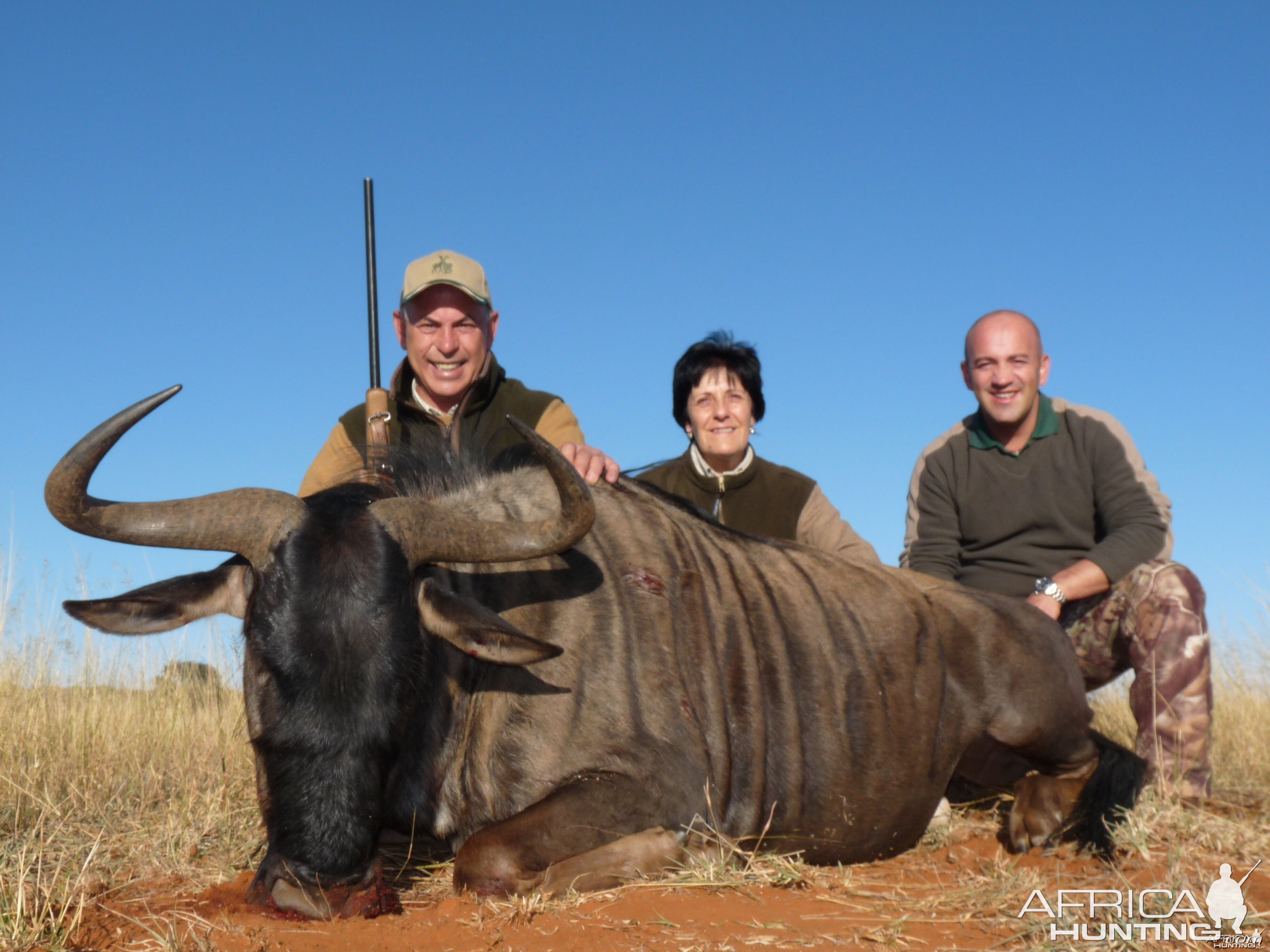 Hunting Blue Wildebeest with Wintershoek Johnny Vivier Safaris in SA