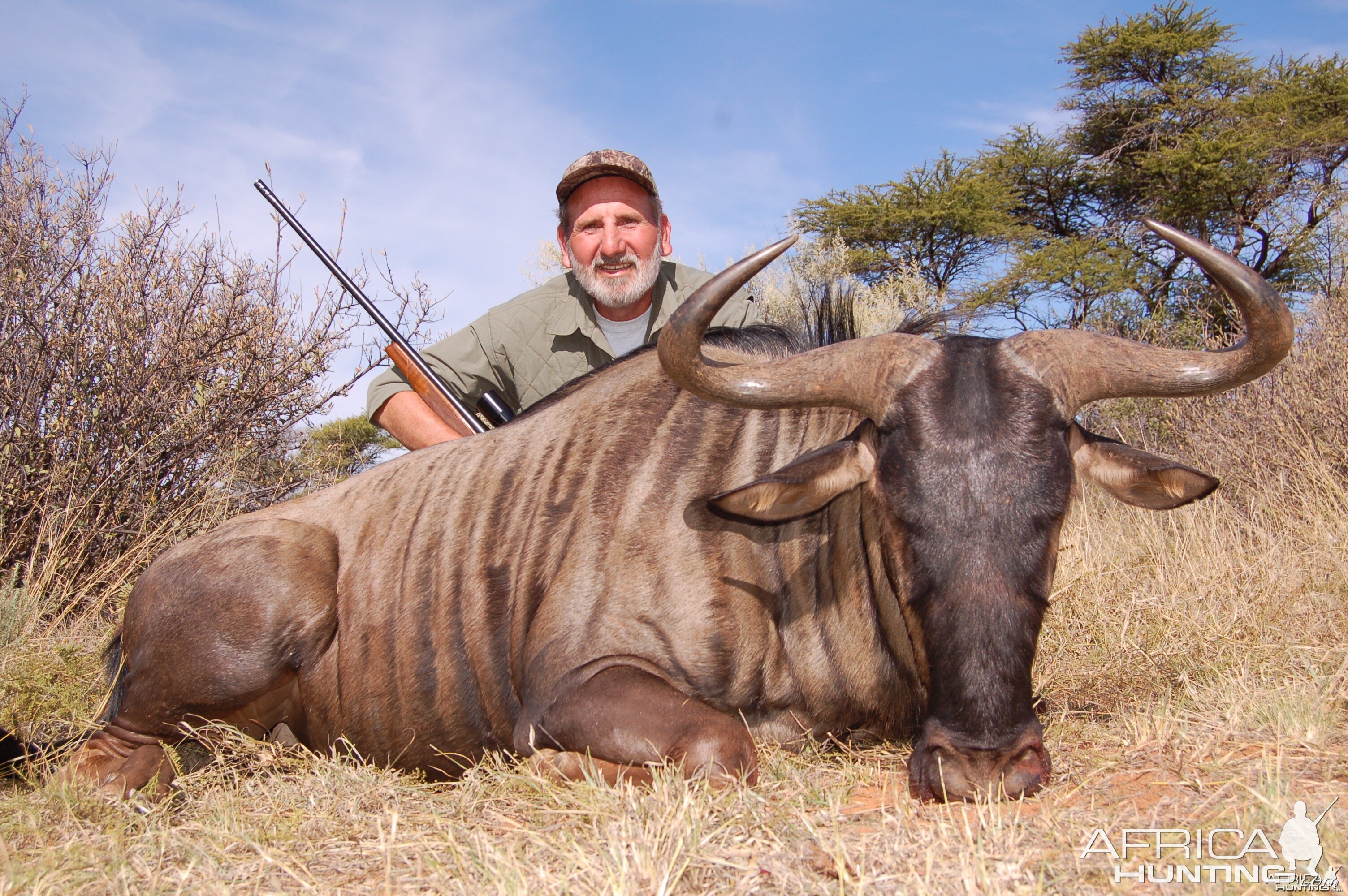 Hunting Blue Wildebeest with Wintershoek Johnny Vivier Safaris in SA