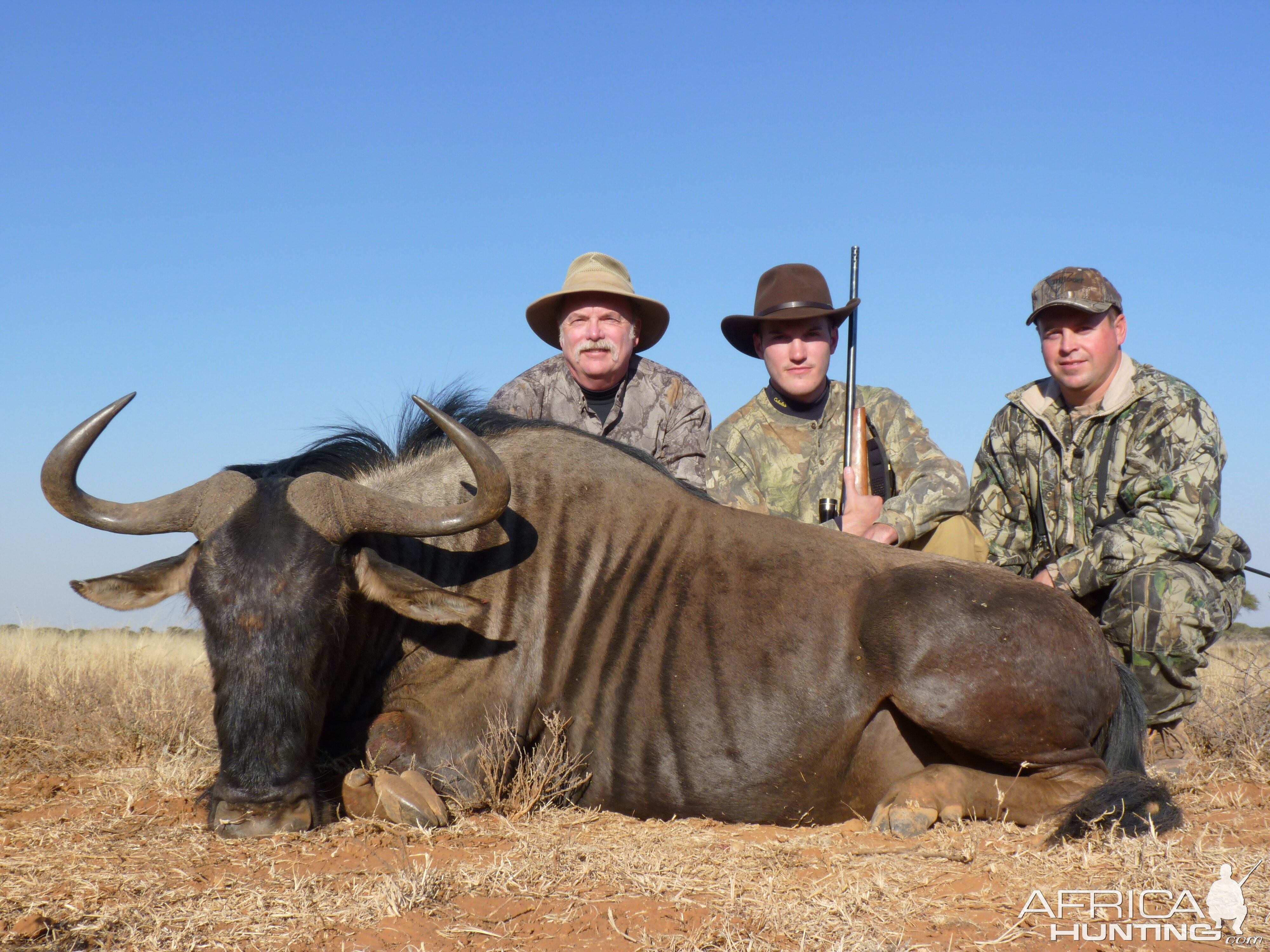 Hunting Blue Wildebeest with Wintershoek Johnny Vivier Safaris in SA