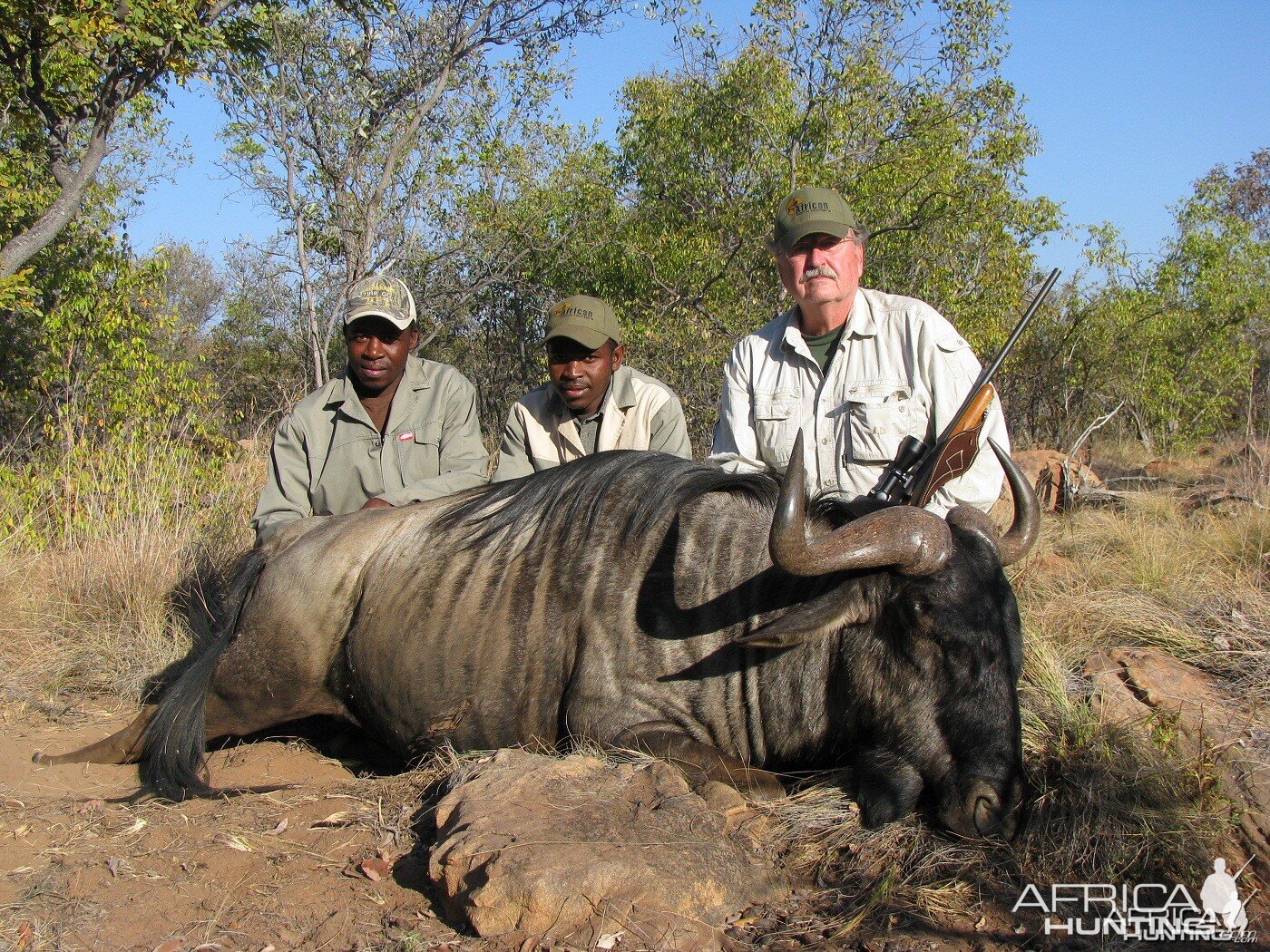 Hunting Blue Wildebeest