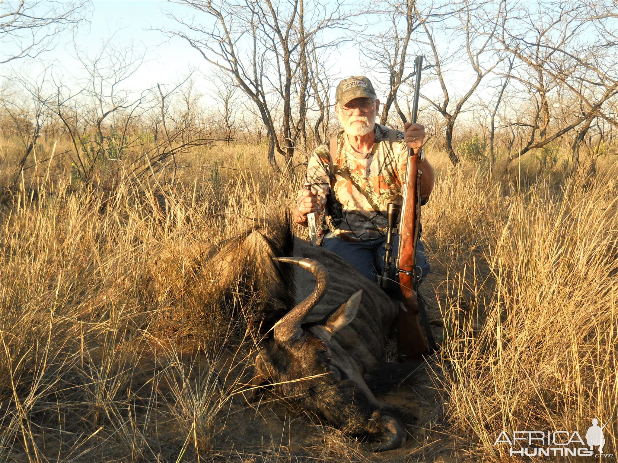 Hunting Blue Wildebeest