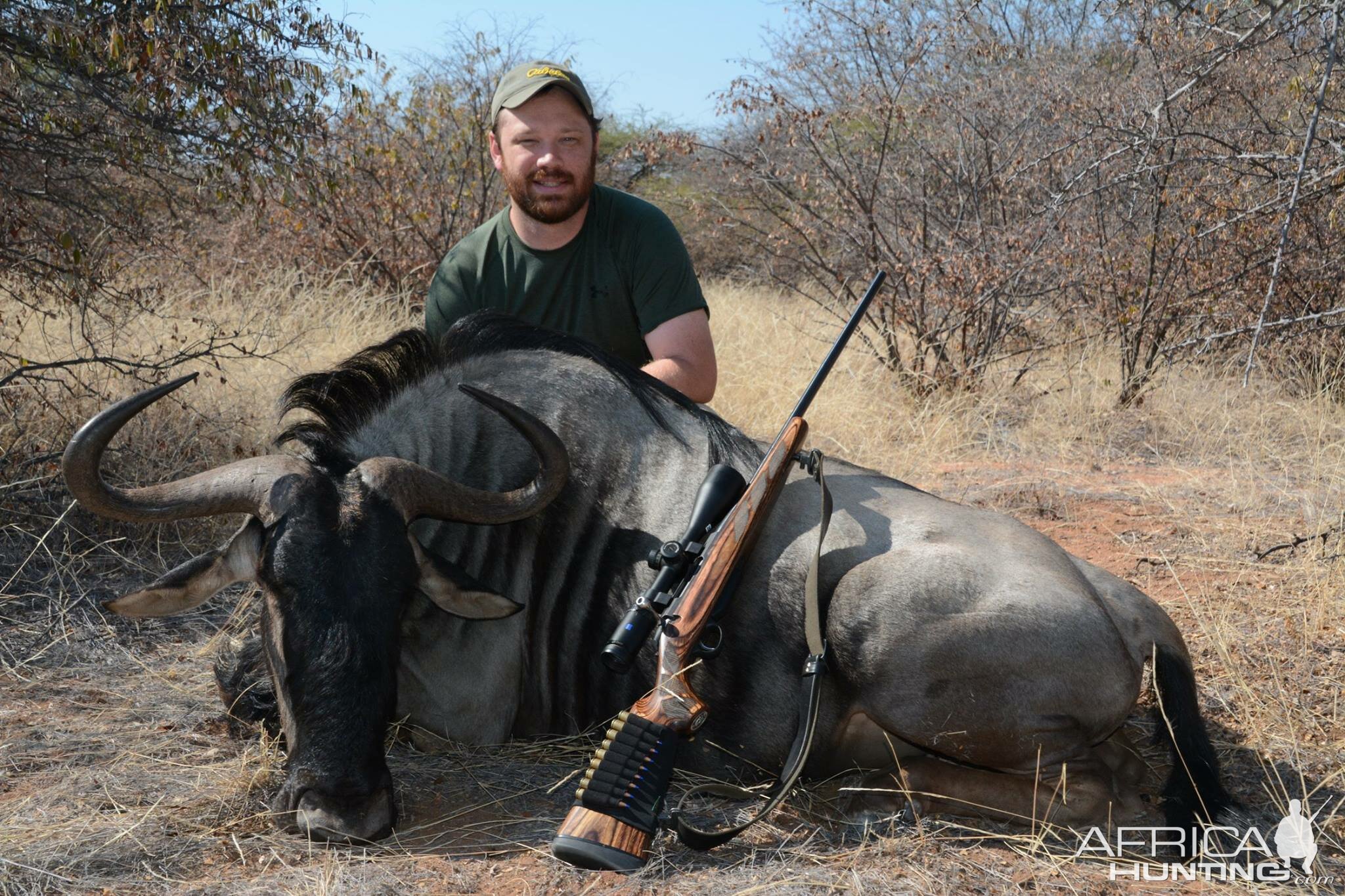 Hunting Blue Wildebeest