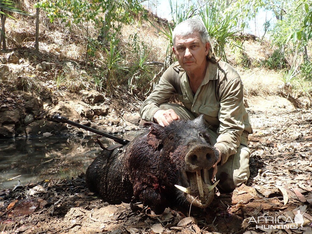 Hunting Boar in Australia