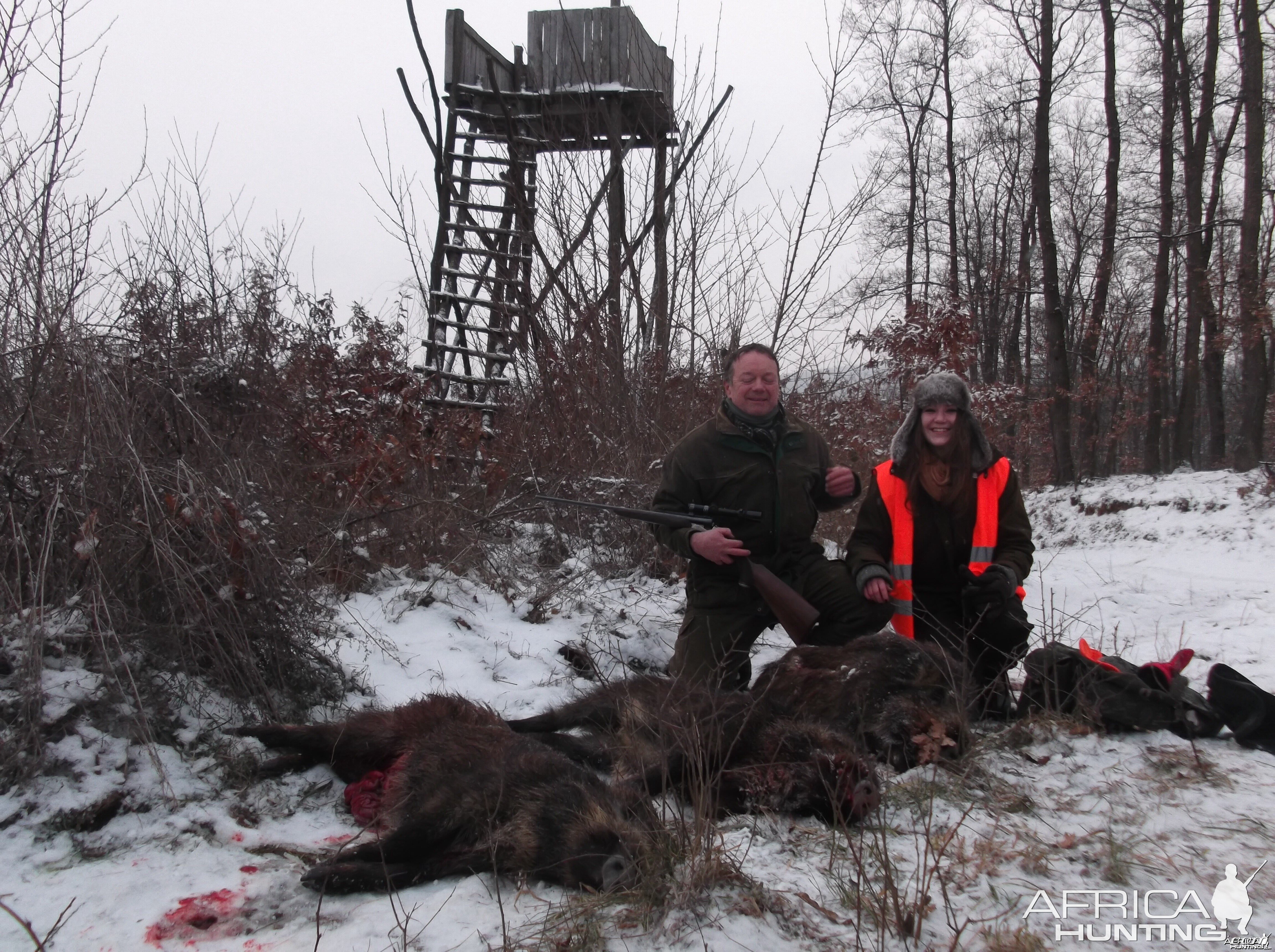 Hunting Boar in Hungary