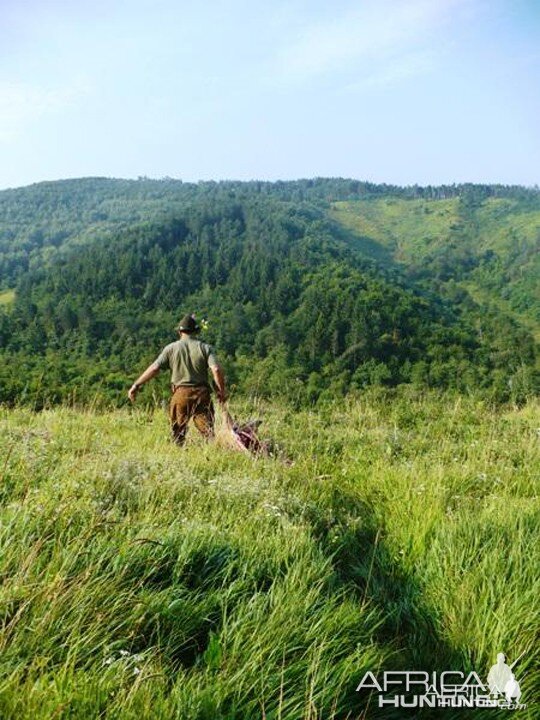 Hunting Boar in Hungary