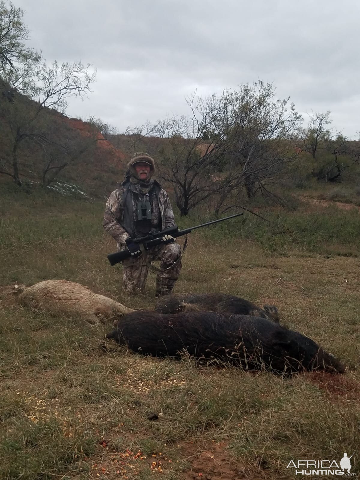 Hunting Boar in Texas USA