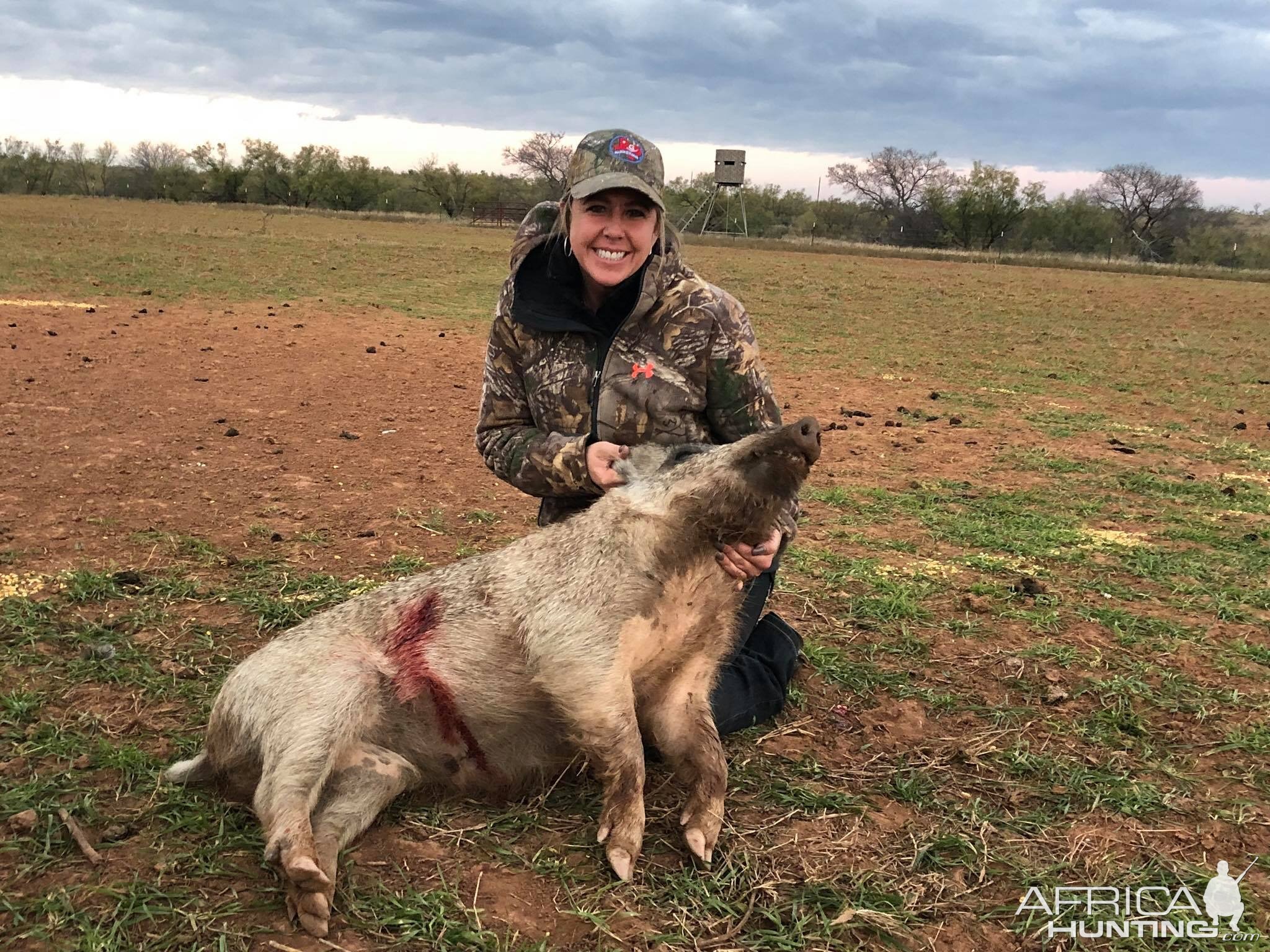 Hunting Boar in Texas USA