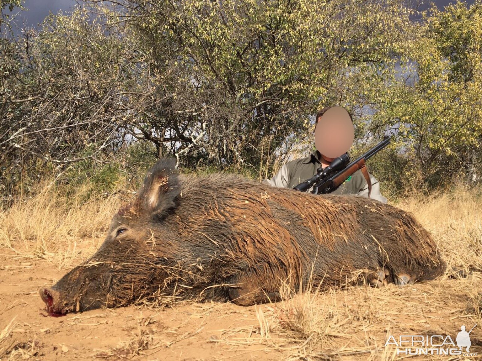 Hunting Boar South Africa