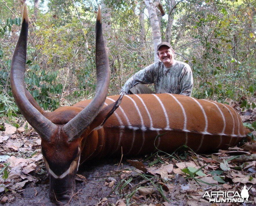 Hunting Bongo in C.A.R.