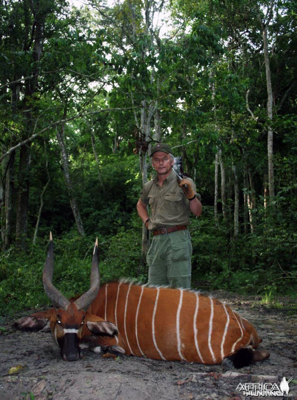 Hunting Bongo in CAR Rudy Lubin Safaris