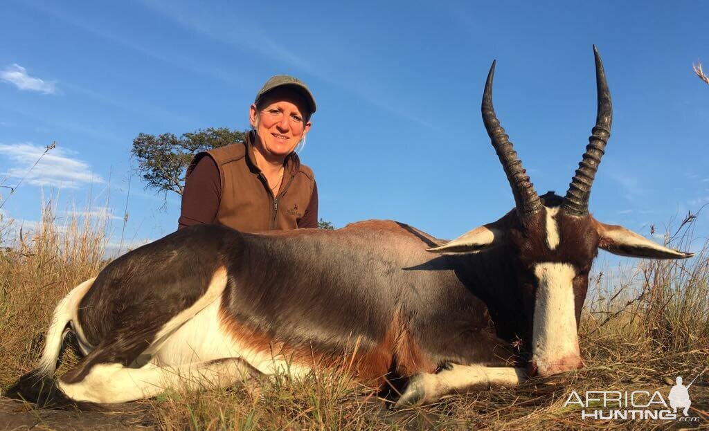 Hunting Bontebok in South Africa