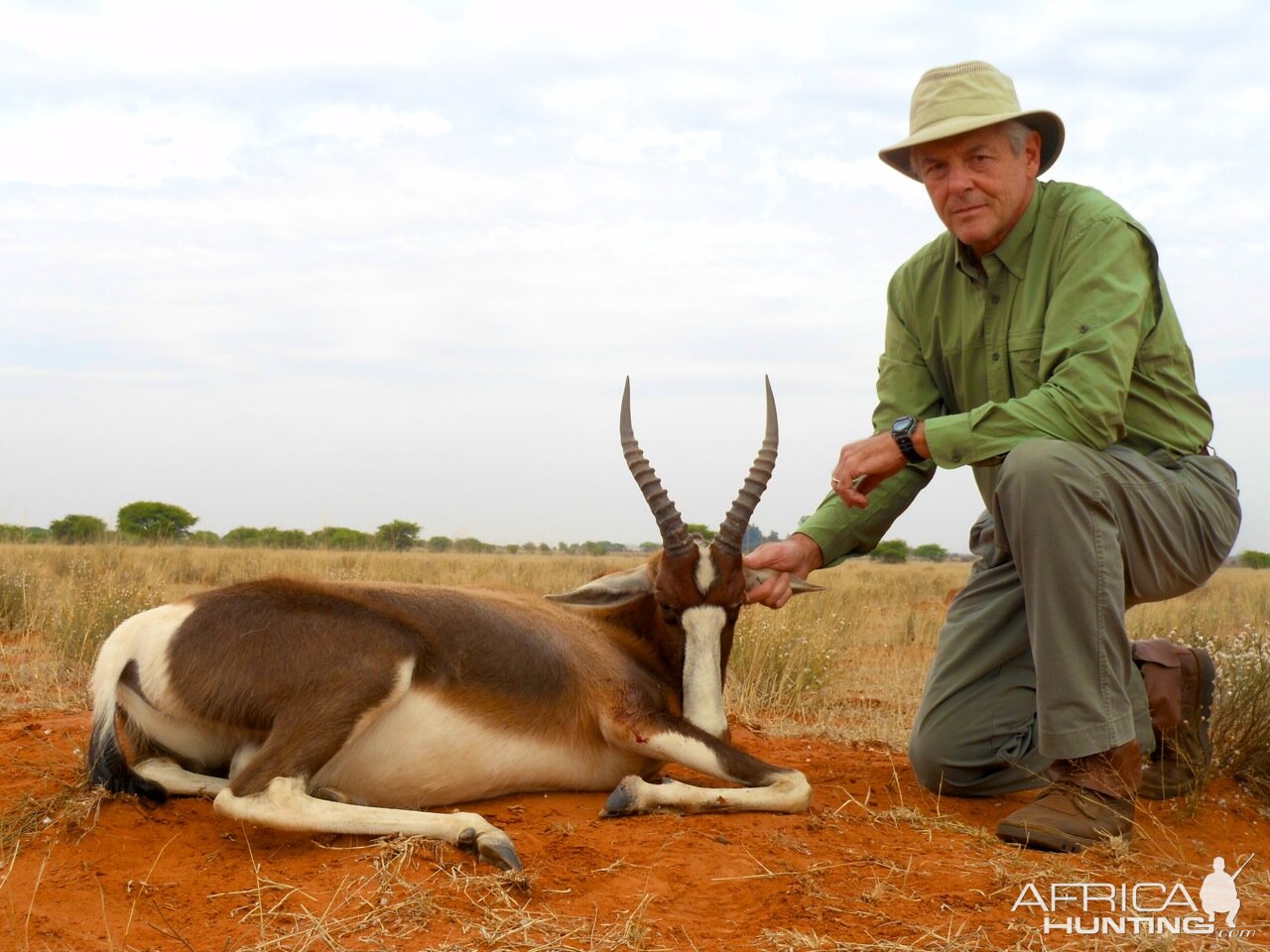 Hunting Bontebok