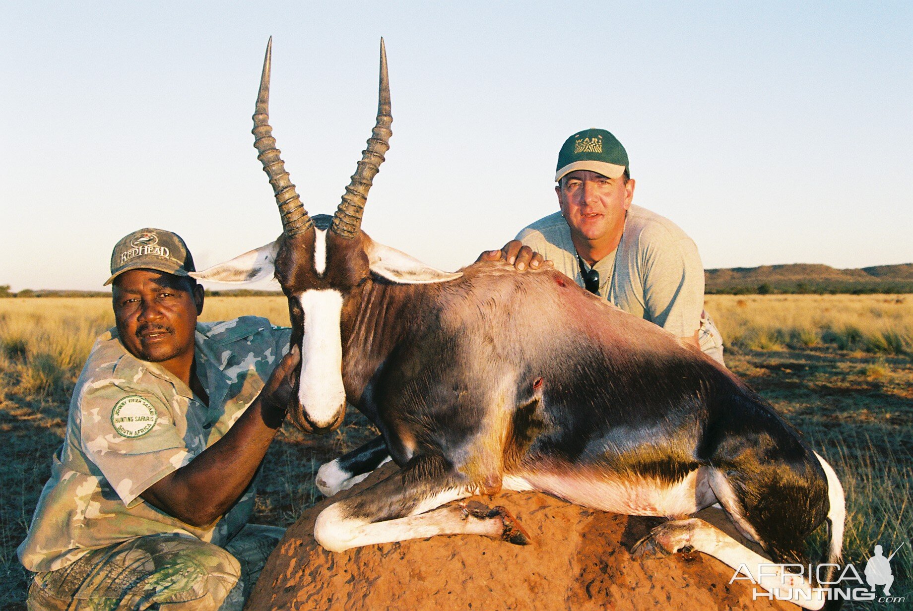 Hunting Bontebuck with Wintershoek Johnny Vivier Safaris in SA