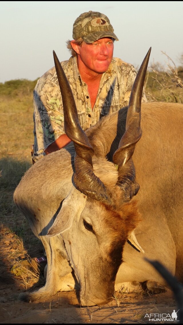 Hunting Botswana Eland