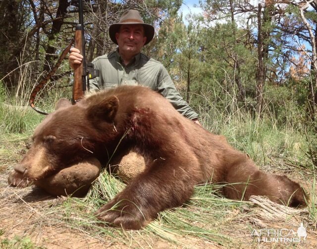 Hunting Brown Bear in New Mexico USA