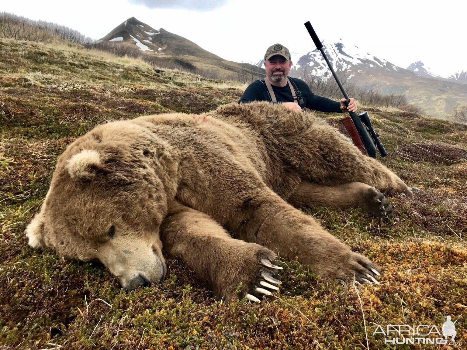 Hunting Brown Bear