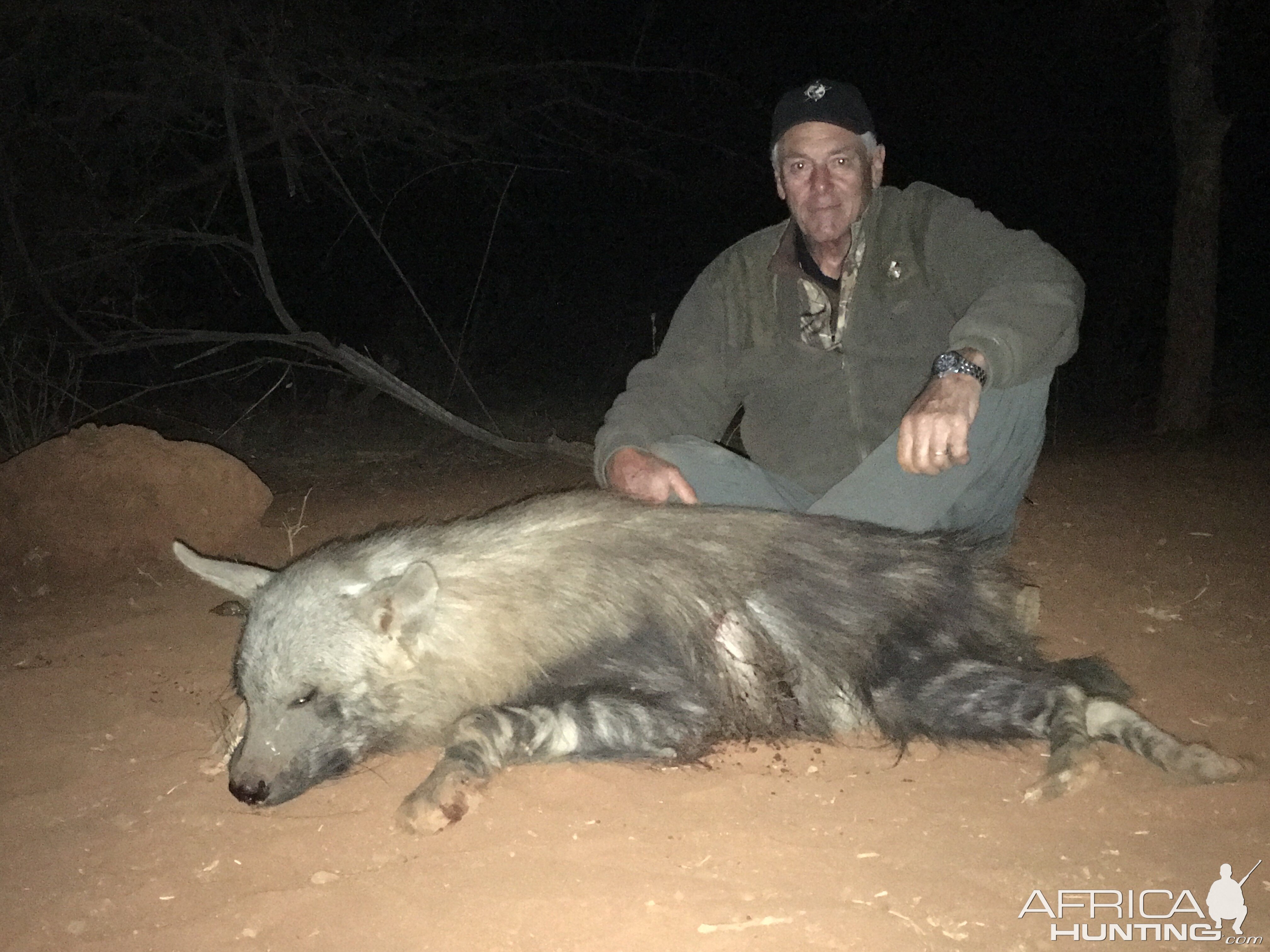 Hunting Brown Hyena in South Africa