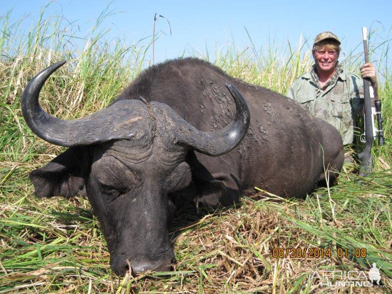 Hunting Buffalo in Mozambique