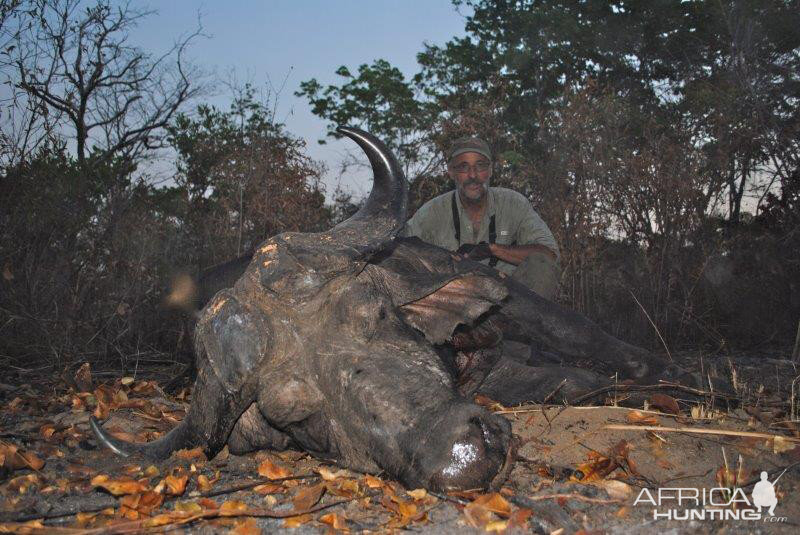 Hunting Buffalo in Mozambique