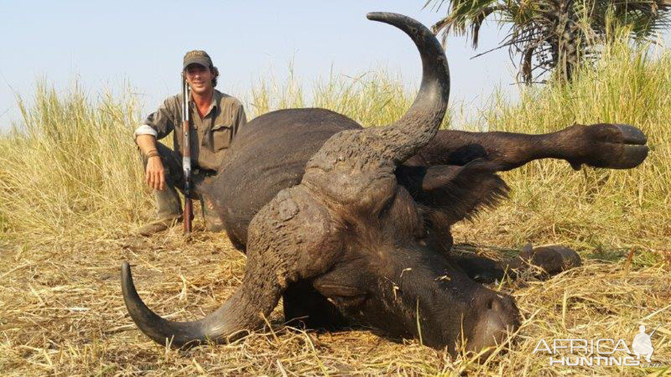 Hunting Buffalo in Mozambique