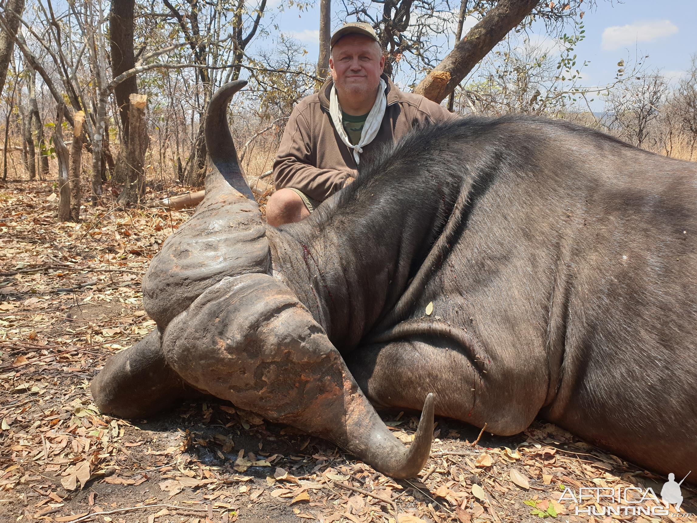 Hunting Buffalo in Mozambique