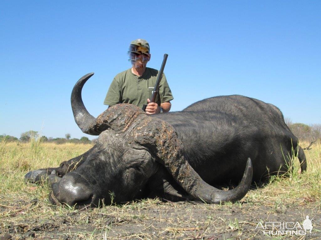 Hunting Buffalo In Namibia