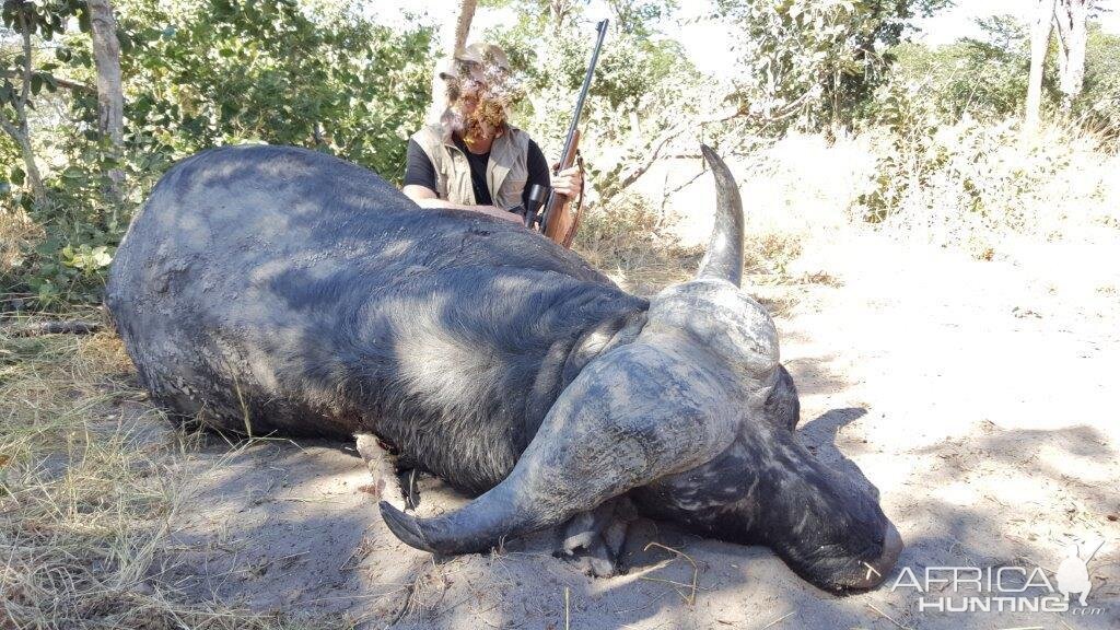 Hunting Buffalo In Namibia