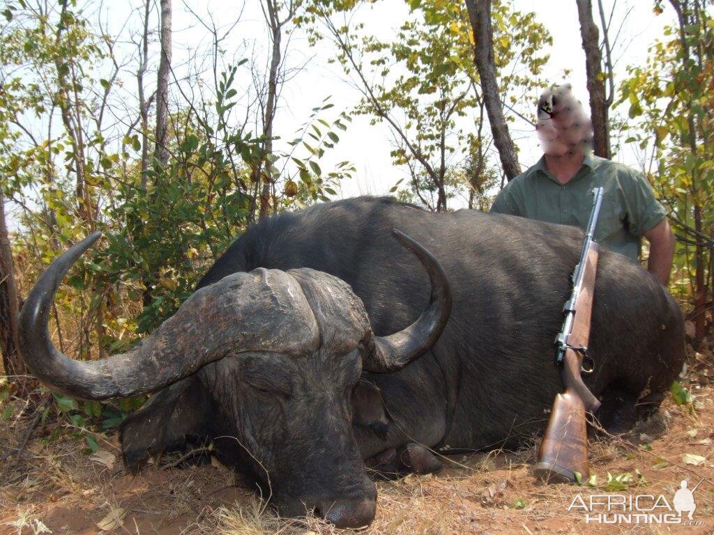 Hunting Buffalo in Namibia