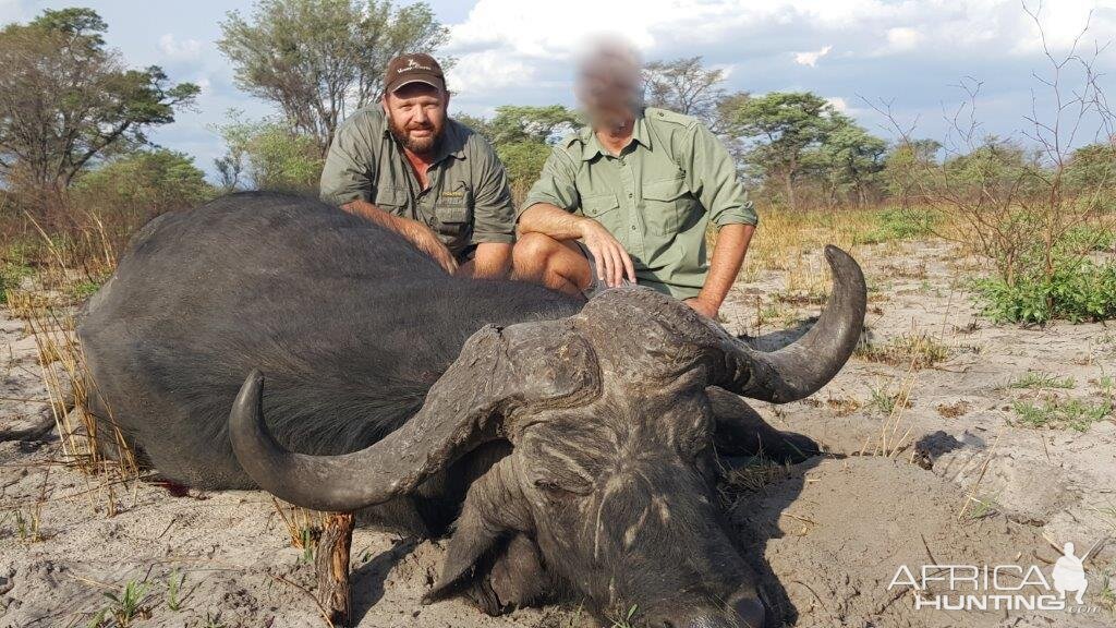 Hunting Buffalo in Namibia