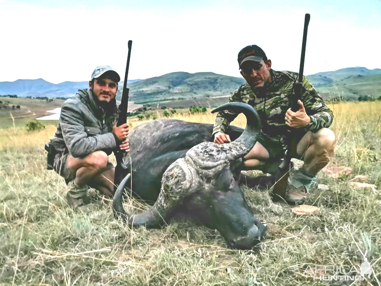 Hunting Buffalo in South Africa