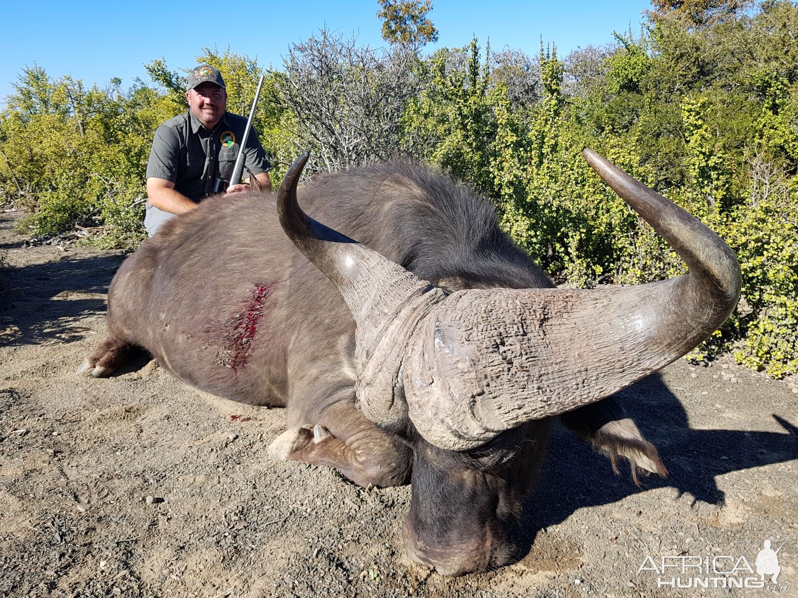 Hunting Buffalo in South Africa