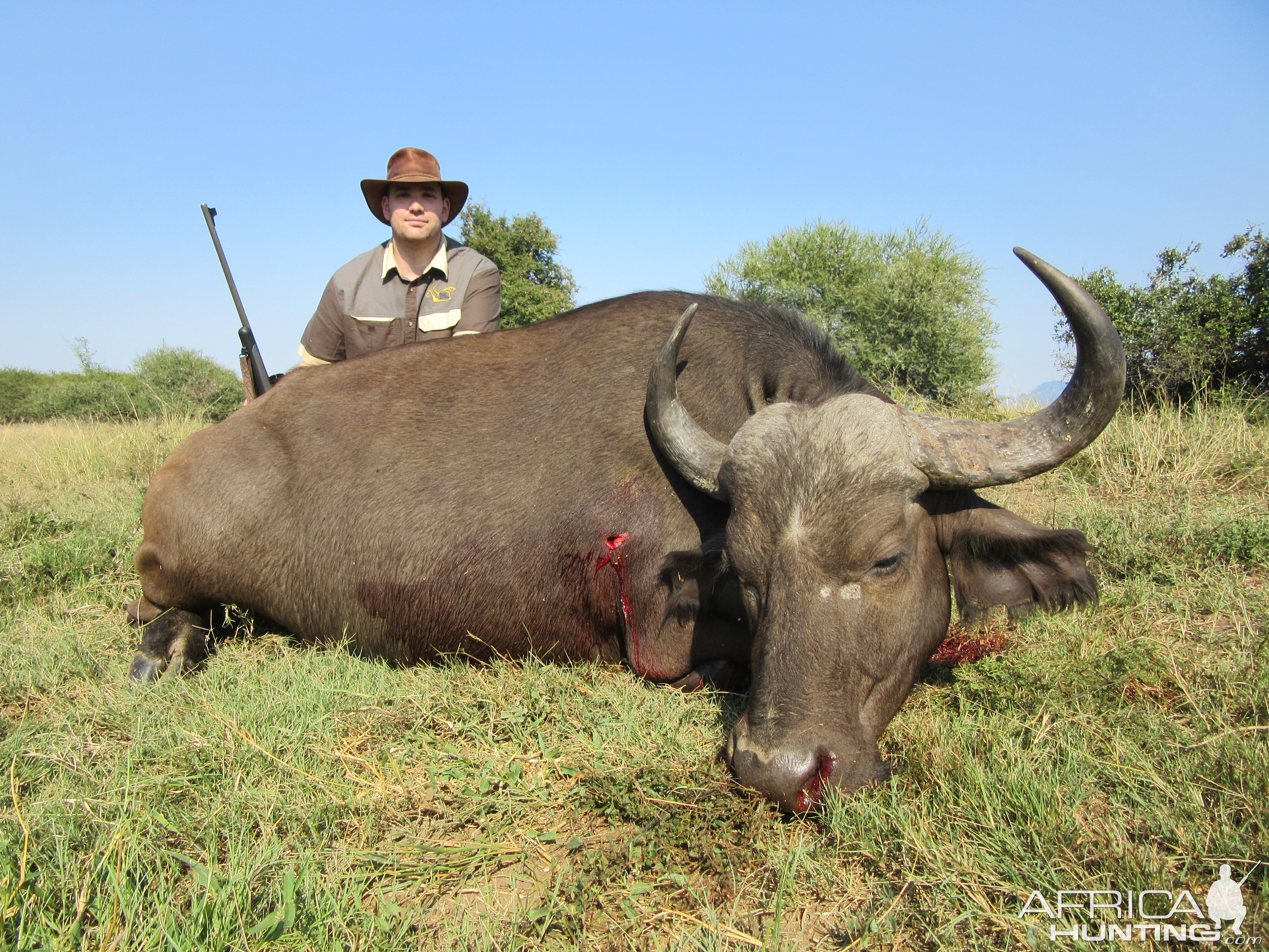 Hunting Buffalo in South Africa