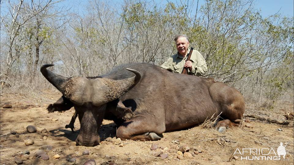 Hunting Buffalo in South Africa