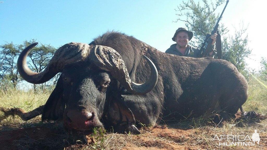 Hunting Buffalo in South Africa