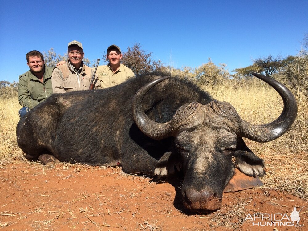 Hunting Buffalo in South Africa