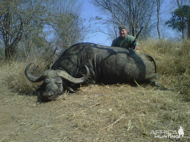 Hunting Buffalo in South Africa