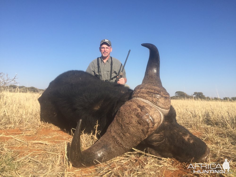 Hunting Buffalo in South Africa