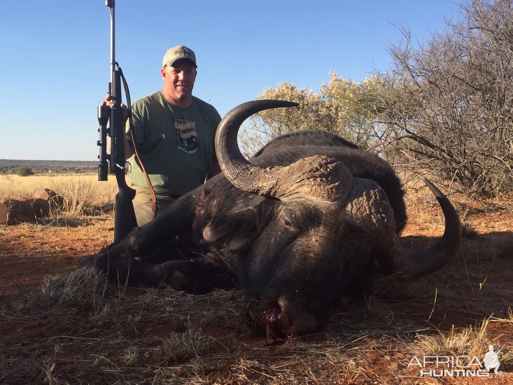 Hunting Buffalo in South Africa