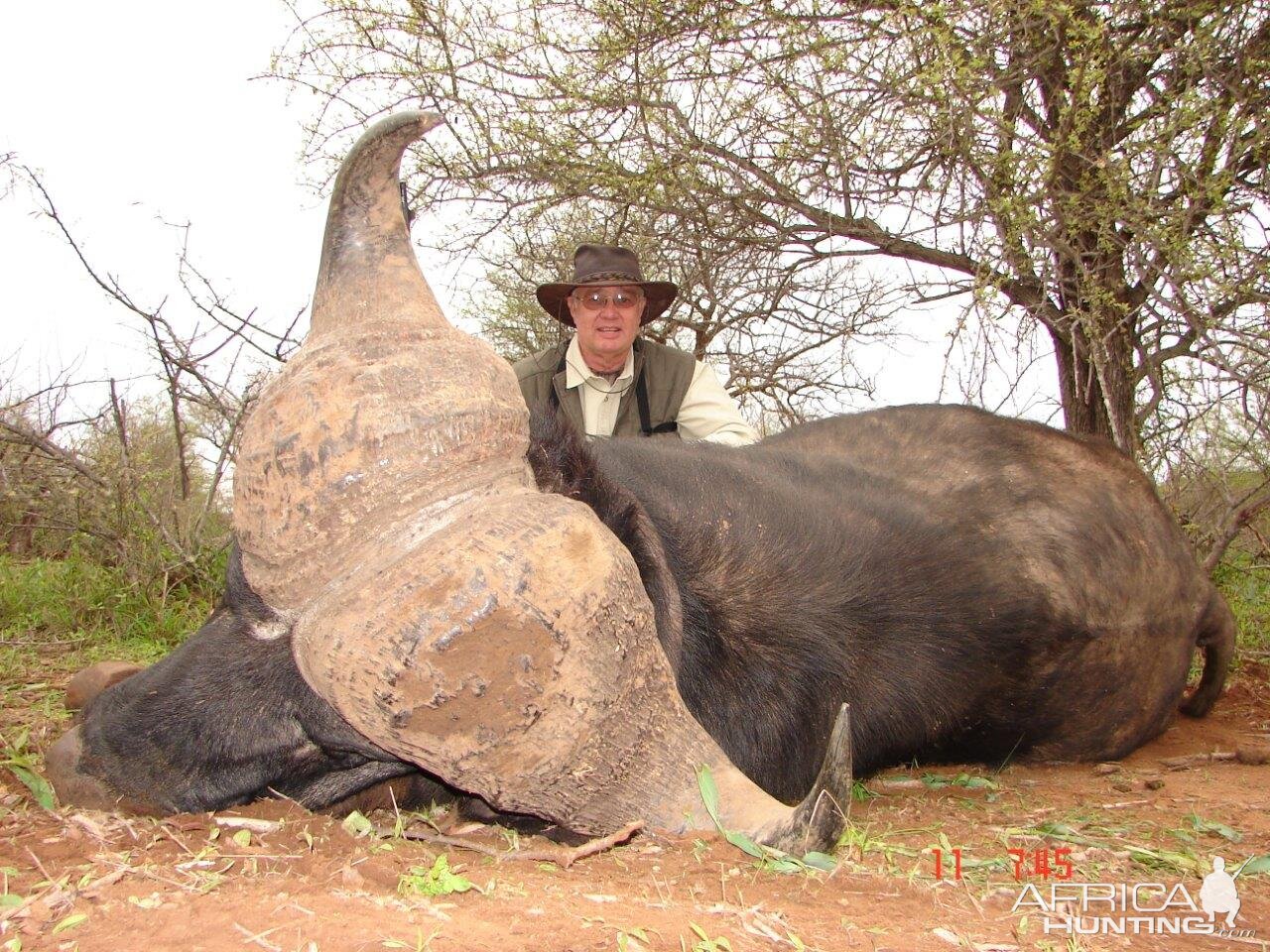 Hunting Buffalo in South Africa