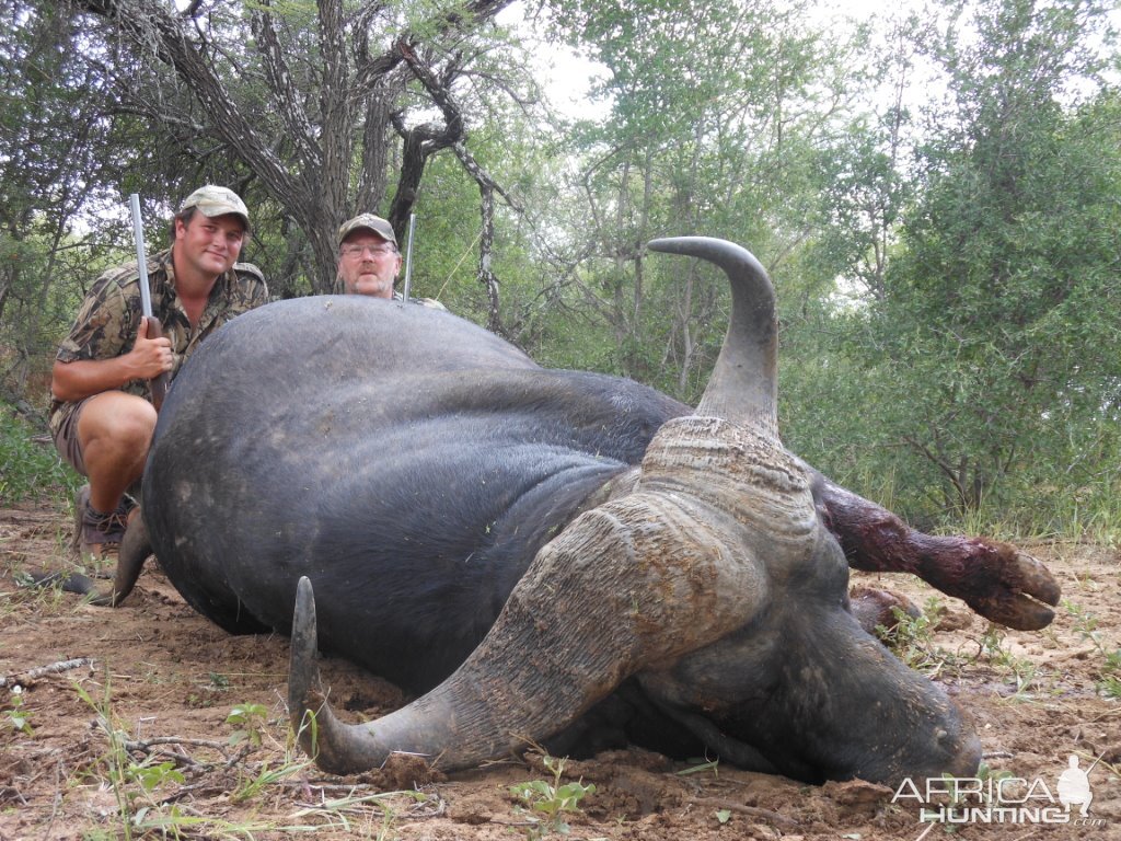 Hunting Buffalo in South Africa