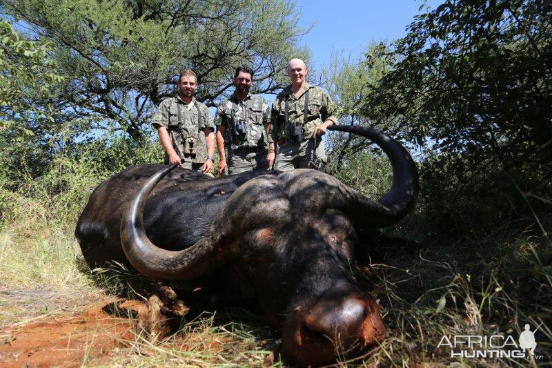 Hunting Buffalo in South Africa