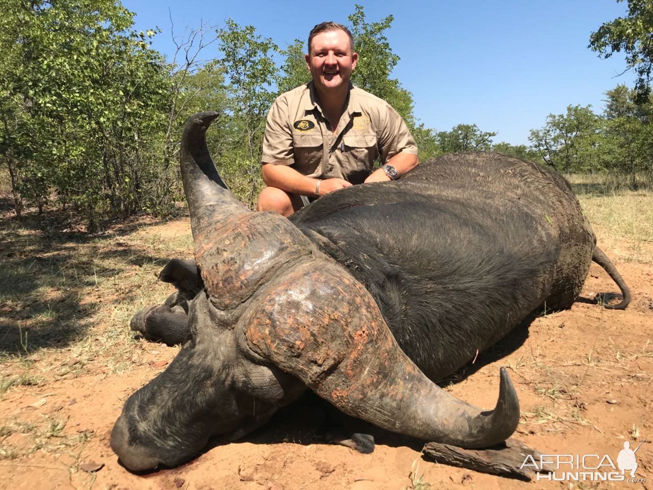 Hunting Buffalo in South Africa