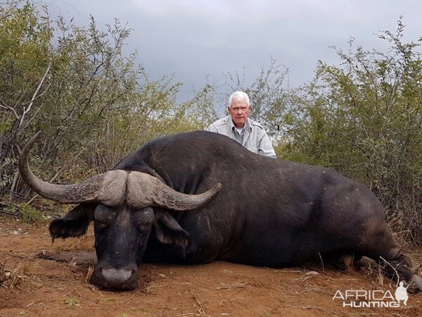 Hunting Buffalo in South Africa