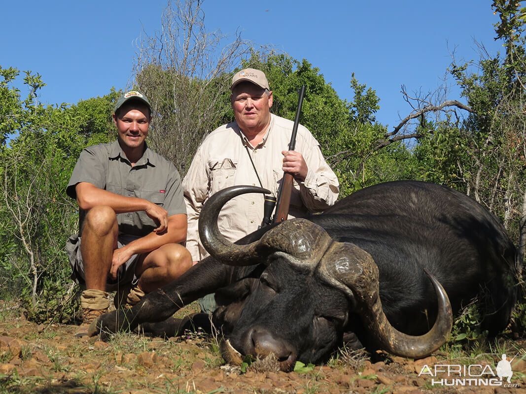 Hunting Buffalo in South Africa