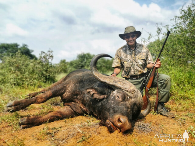 Hunting Buffalo in South Africa