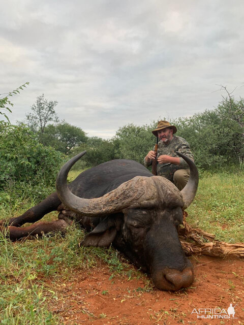 Hunting Buffalo in South Africa