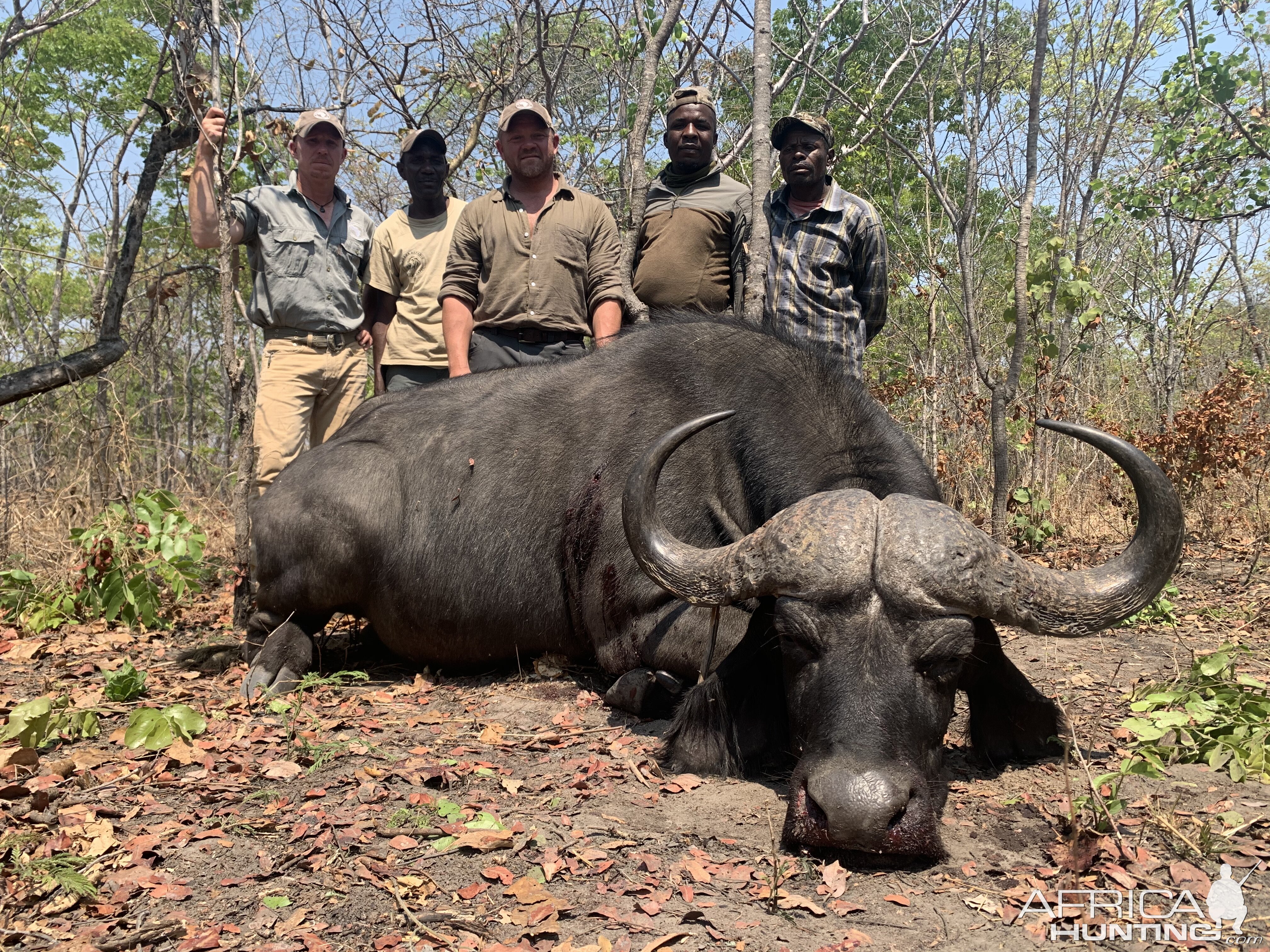 Hunting Buffalo in Tanzania